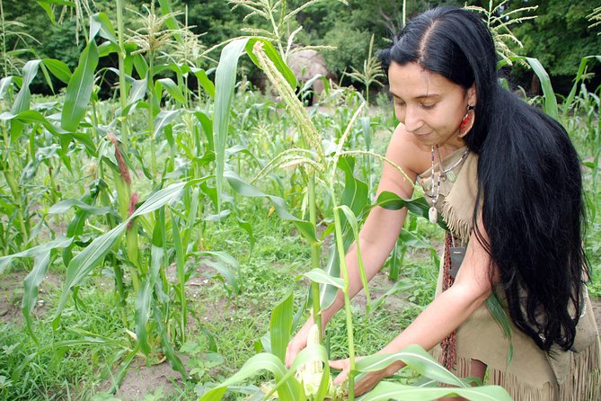 Plimoth Patuxet Museums - Plimoth Patuxet Museums: Who Will Love It?