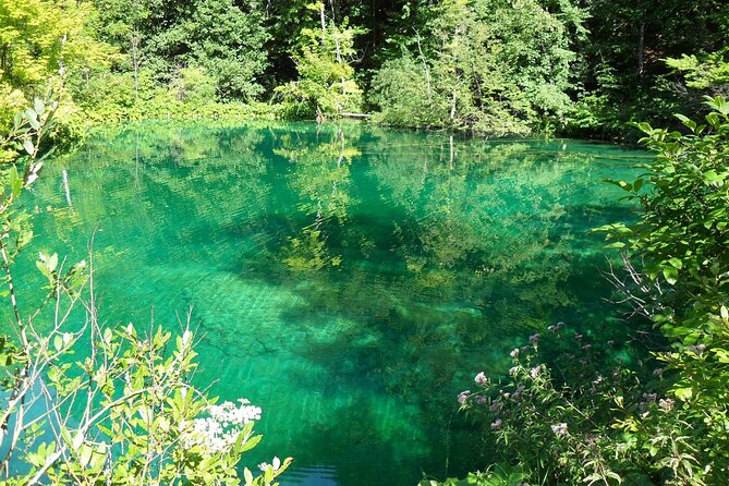 Plitvice Lakes and Rastoke Private Day Tour from Zagreb - Booking and Practical Details