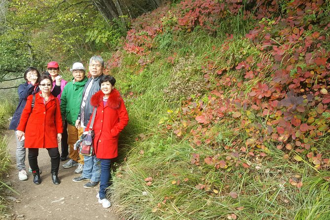 Plitvice Lakes and Rastoke Private Day Tour from Zagreb - Scenic Boat Cruise Options on Plitvice Lakes