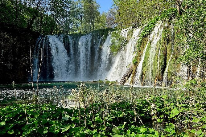Plitvice Lakes Day Tour from Rijeka, Simple & Safe - Discovering the 16 Terraced Lakes and Waterfalls