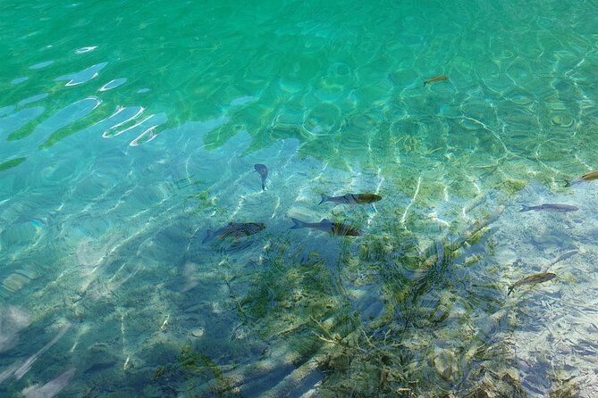 Plitvice Lakes Day Tour from Zadar, Simple and Safe - Key Points