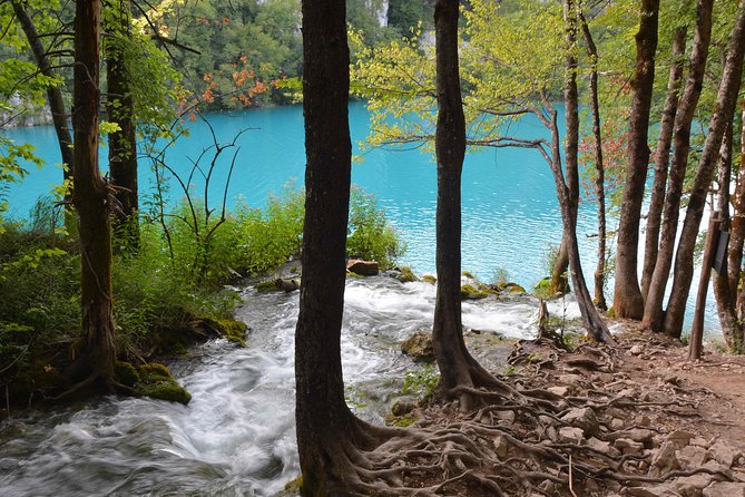 Plitvice Lakes National Park Tour from Zadar - The Logistics: Transport, Pick-Up, and Group Size