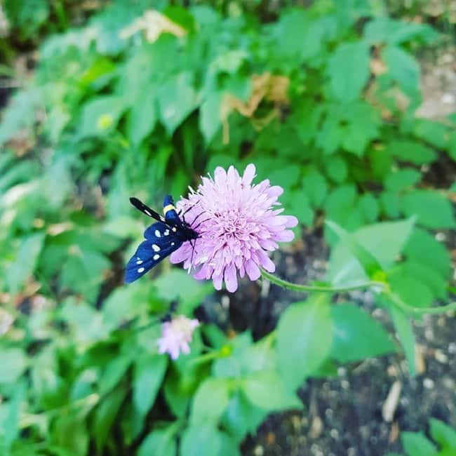 Plitvice Lakes National Park: Walking, Boat, and Train Tour - Key Points