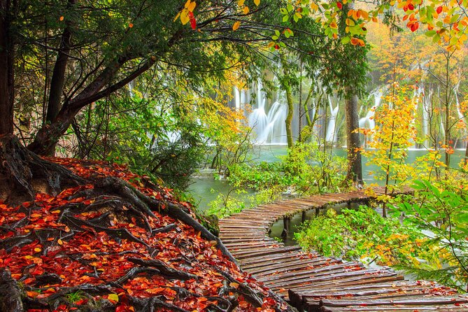 Plitvice Lakes Private Day Tour from Zadar - Scenic 4-Hour Exploration of the Park