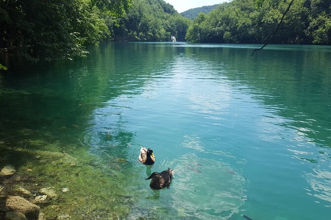 Plitvice Lakes Small Group Tour Ecco from Split or Trogir - Key Points