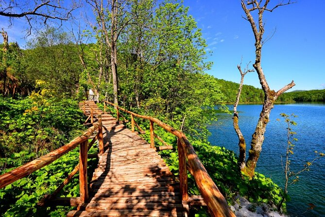 Plitvice Lakes Small Group Tour Ecco from Split or Trogir - Private Tour Options and Additional Inclusions