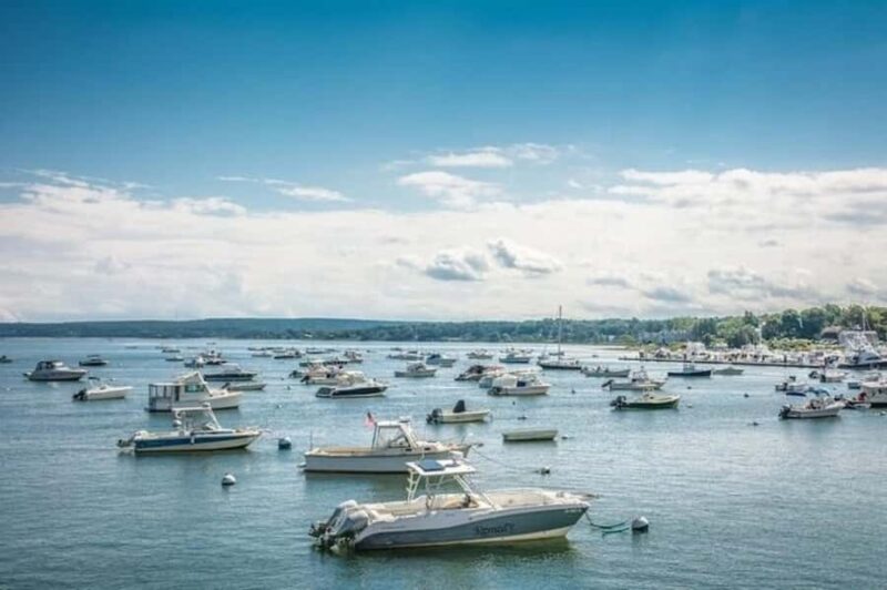 Plymouth: Kayak Rental with Life Jacket and Paddle - Wildlife Watching from the Water