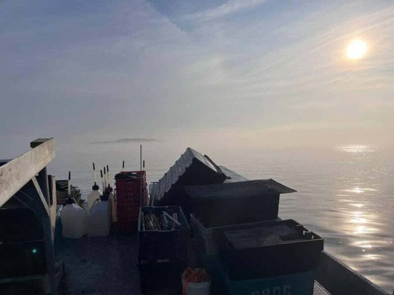 Plymouth: Oyster Farm Boat Tour with Tasting - Starting Your Adventure from Plymouth’s Historic Town Wharf