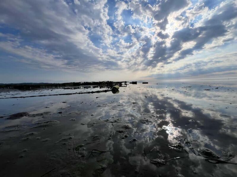 Plymouth: Oyster Farm Boat Tour with Tasting - Walking the Oyster Farm Rows and Learning Sustainable Aquaculture
