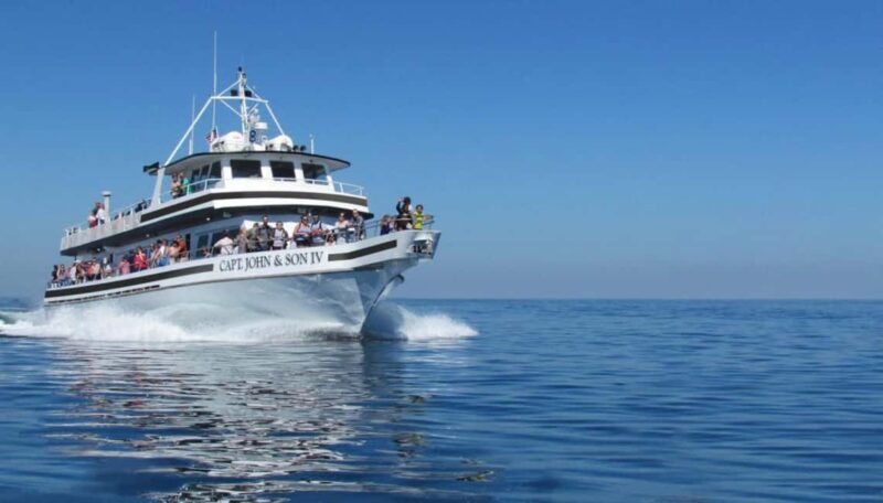 Plymouth: Whale Watching Cruise - What to Bring for Comfort and Safety