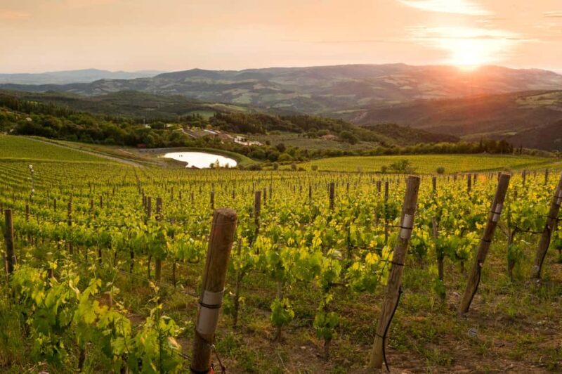 Podere Forte: Tour the winery and enjoy a tasting of three base wines - Tasting Podere Fortes Signature Wines