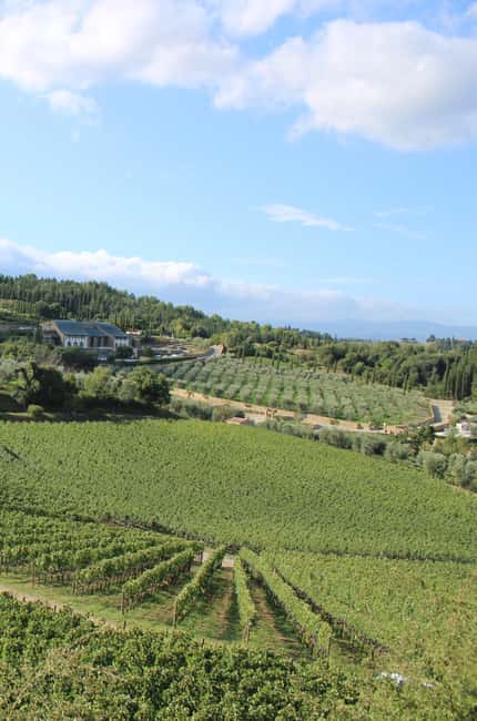 Podere Forte: Tour the winery and enjoy a tasting of three base wines - Practical Details of the Tour