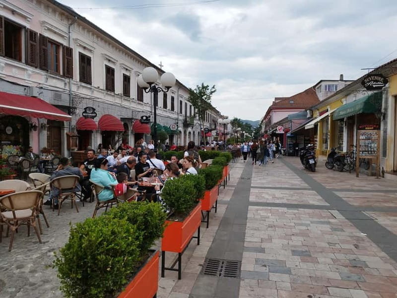 Podgorica: Albania visit, Skadar Lake and Rozafa Castle Tour - Skadar Lake from the Albanian Shore