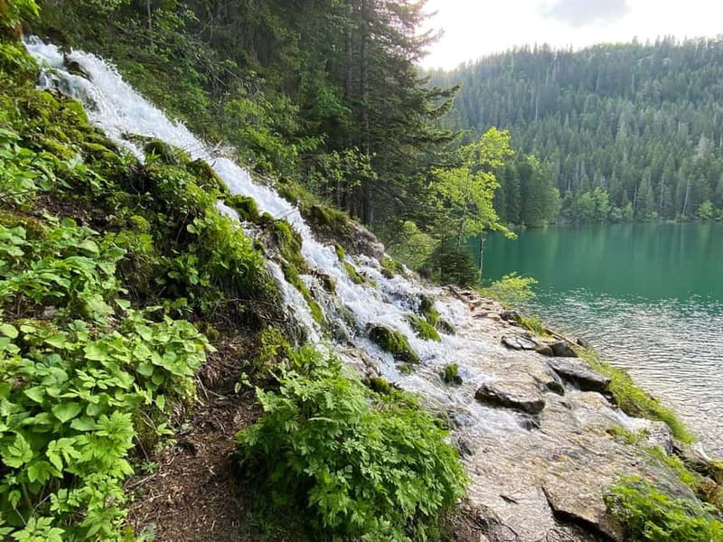 Podgorica: Durmitor National Park- Tara river, bridge & lake - Scenic Drive Through Montenegrin Highlands and the Town of Zabljak