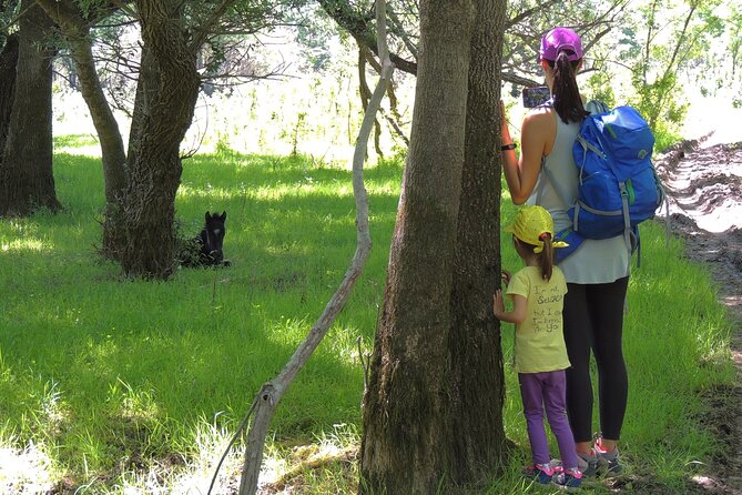 Podgorica Historic, Safari and Winery tour - Skadar lake and River Crnojevica - Visiting Zabljak Crnojevia: The First Montenegrin Settlement