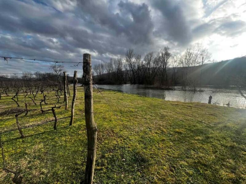 Podgorica: Panoramic Wine Tasting & Snack - Facilities and Outdoor Activities at the Estate