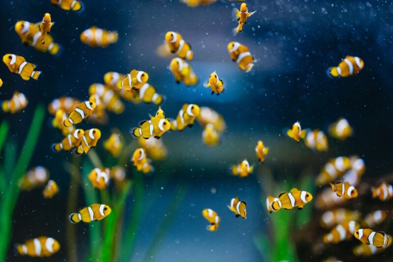 Poema del Mar Skip-the-Line Ticket - Final Thoughts on Visiting Poema del Mar