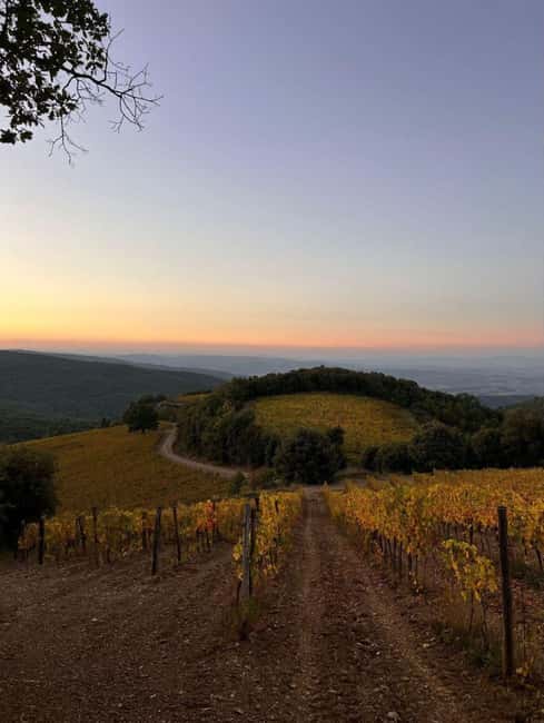 Poggio dell'Aquila: Brunello di Montalcino Wine Tasting - Discover the Charm of Poggio dellAquila’s Brunello di Montalcino Wine Tasting