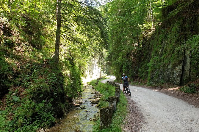 POIANA BRASOV and POSTAVARU CHALET eBike tour (BRASOV) - Highlights of the Poiana Brasov Resort Stop