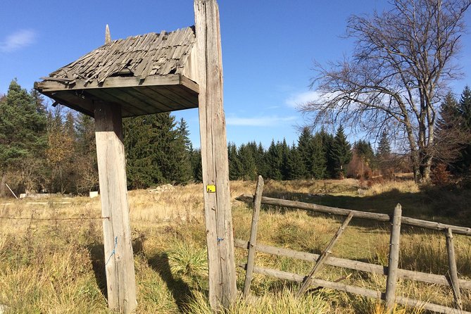 POIANA BRASOV and POSTAVARU CHALET eBike tour (BRASOV) - Practical Considerations and Recommendations