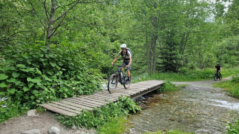 Point of view on the glaciers of Chamonix by ebike - Key Points