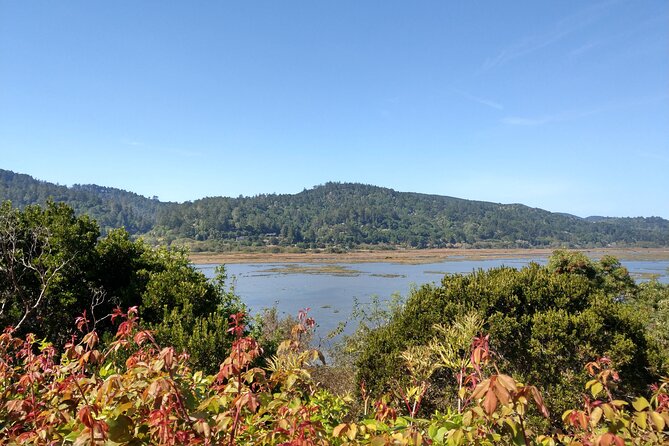Point Reyes National Seashore Self Guided Driving Audio Tour - Relaxing at Point Reyes Beaches