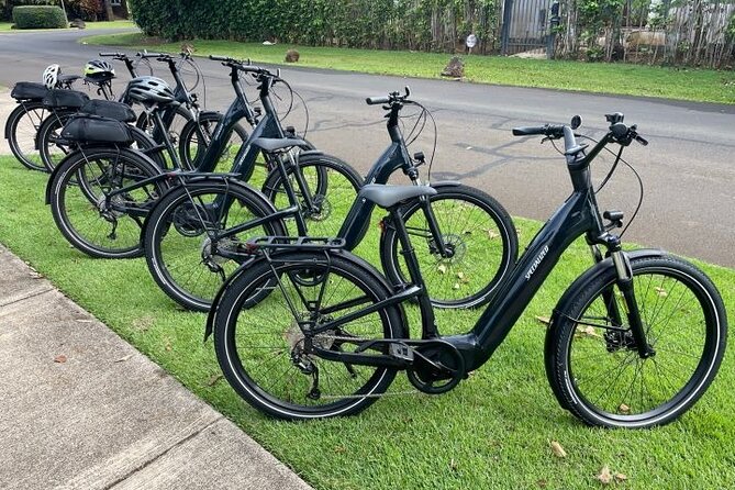 Poipu and Koloa E-Bike Scenic Tour - The E-Bike Fleet and Tour Equipment