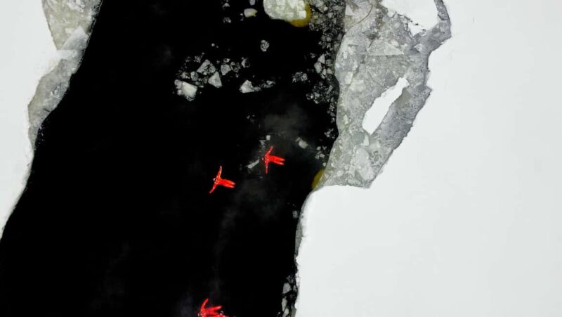 Polar Explorer Aurora Icebreaker Cruise & Ice Floating - The Polar Explorer Icebreaker in Kalix: A Gateway to Arctic Adventure