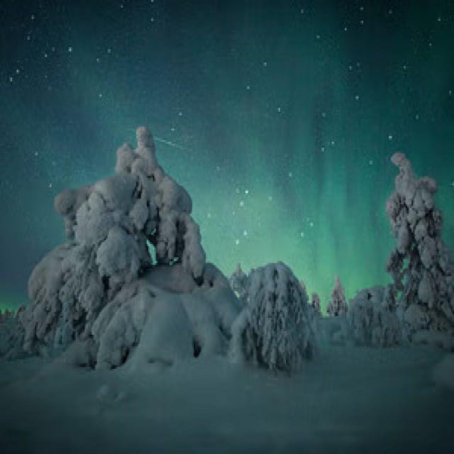 Polar Night Snowshoe Trek - Witnessing the Northern Lights in the Arctic Night