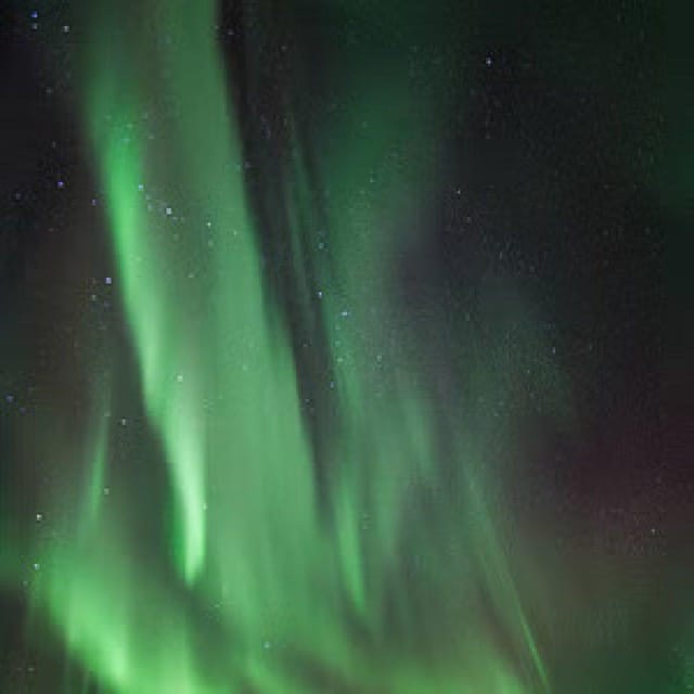 Polar Night Snowshoe Trek - What Makes This Tour Stand Out