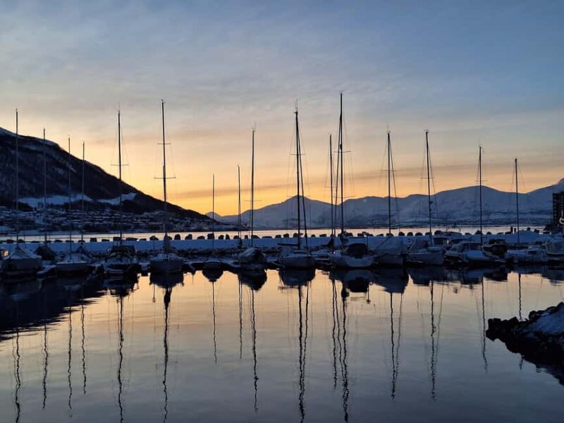 POLARIA AND FAMILY FRIENDLY CITY WALK - Walking Through Tromsøs Historic and Scenic Streets