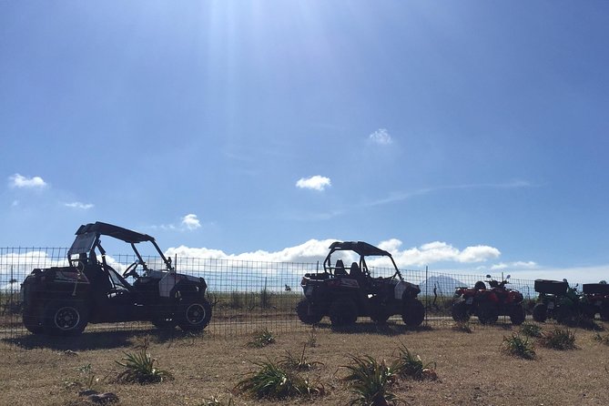 Polaris Buggy 4-Hour Safari from Rethymno Town - Value for Money and Booking Tips