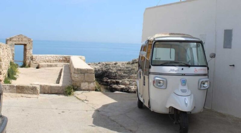Polignano a Mare: Tuk-Tuk Tour Along the Coast - The Scenic Stops and Photo Opportunities