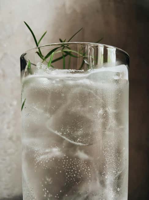 Polish Gin Tasting Tour in Gdansk - Value and Duration of the Gdansk Gin Tour