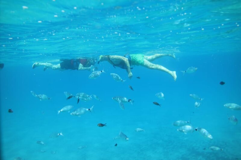 Pollença: Kayak and Coasteering Cliff Jumping - The Value of This Adventure in Mallorca
