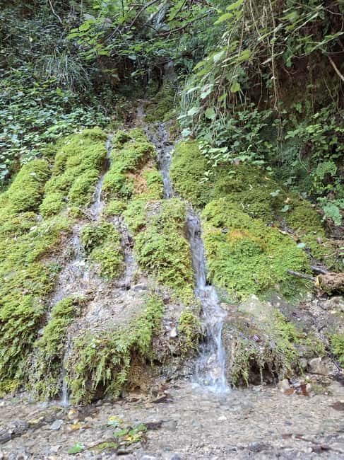 Pollino National Park: Trekking in the Argentino Nature Reserve - Key Points