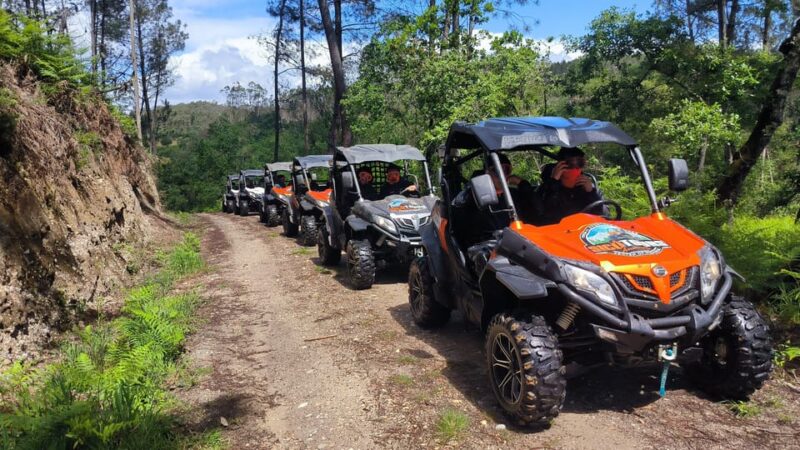 Pombal- Sicó: 120 minutes OFF-ROAD buggy ride - Starting Point at Sicó Tours in Portugal