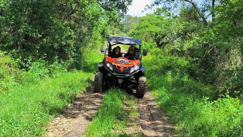 Pombal- Sicó: 120 minutes OFF-ROAD buggy ride - The Off-Road Experience: Driving Through Winding Paths and Streams
