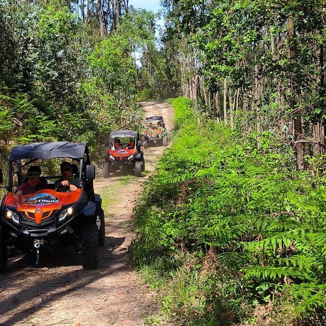 Pombal- Sicó: 60 minutes OFF-ROAD Buggy Ride - Scenic Off-Road Driving in the Sicó Mountains