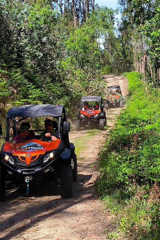 Pombal- Sicó: 60 minutes OFF-ROAD Buggy Ride - The Experience Provider: Sicotours Lda