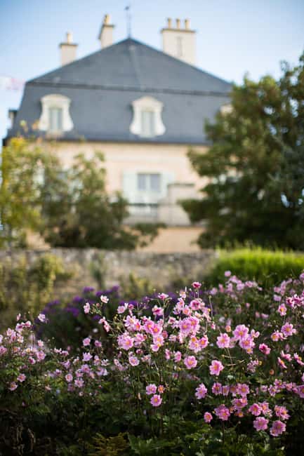 Pommard: Clos Marey Monge Signature Wine Tasting - Starting Point and Check-In at Château de Pommard