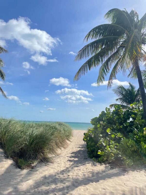 Pompano Beach: Taste of the Neighborhood Walking Food Tour - Interacting with Local Chefs and Restaurant Owners