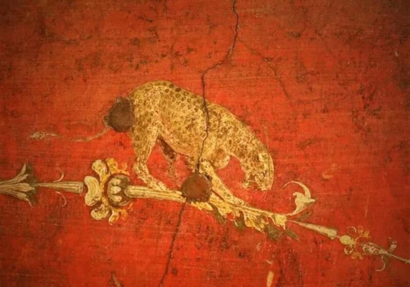 Pompei and Herculaneum: Skip the Line Entry + Audioguide - Duration and Pacing of the Tour