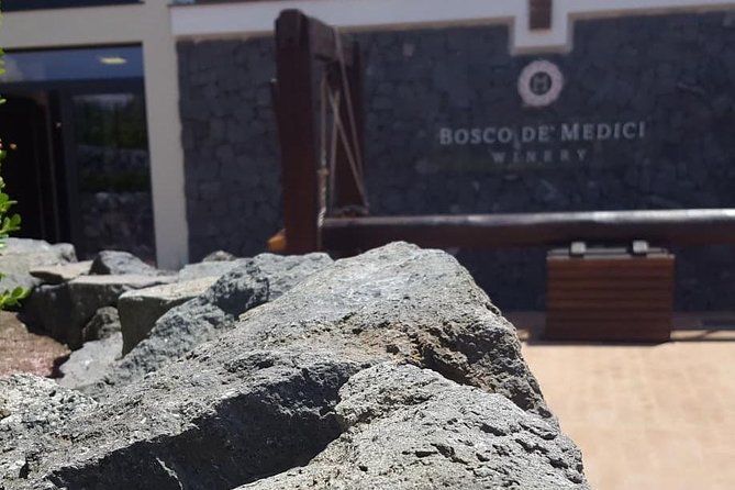 Pompei Archeological site and Wine tasting Experience - Tour Start Point and Convenient Logistics in Amalfi