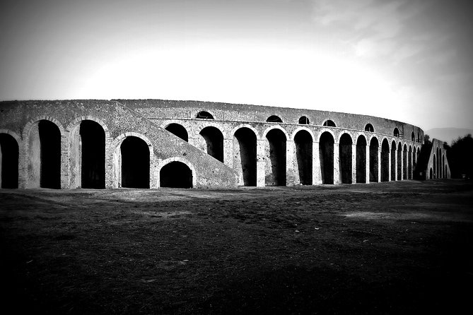 POMPEI Half Day TOUR - Departure from NAPLES Centre (TICKET INCLUDED) - The Guide Experience and Customer Service
