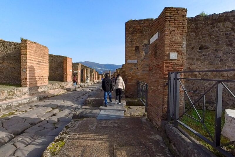 Pompeii: 2 Hours Skip the Line Visit with a Licensed Guide - Who Will Appreciate This Tour Most