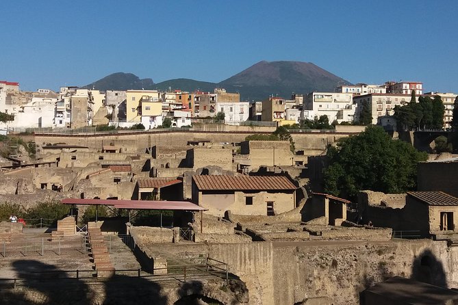 Pompeii and Herculaneum full immersion - Booking and Cancellation Flexibility