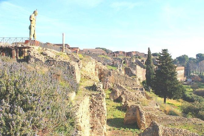 Pompeii and Herculaneum Private Tour with Native Guide and Skip the Line Tickets - Value for Money and Customer Satisfaction