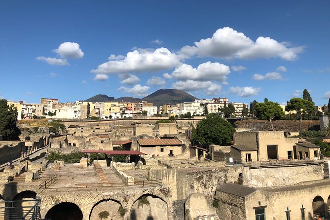 Pompeii and Herculaneum Private Tour with Pick up and Wine Tasting - Mount Vesuvius Views from the Sites