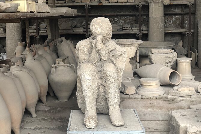 Pompeii and Herculaneum Private Tour with Pick up and Wine Tasting - Who Would Love This Tour?